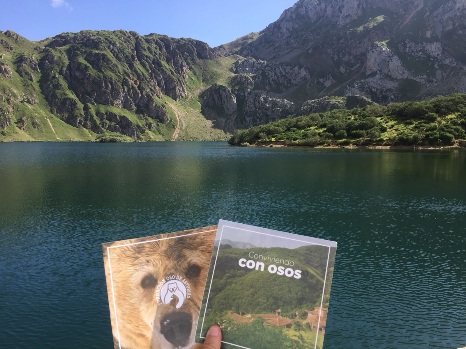 Los observadores de osos no son conscientes del impacto que su actividad supone para la especie