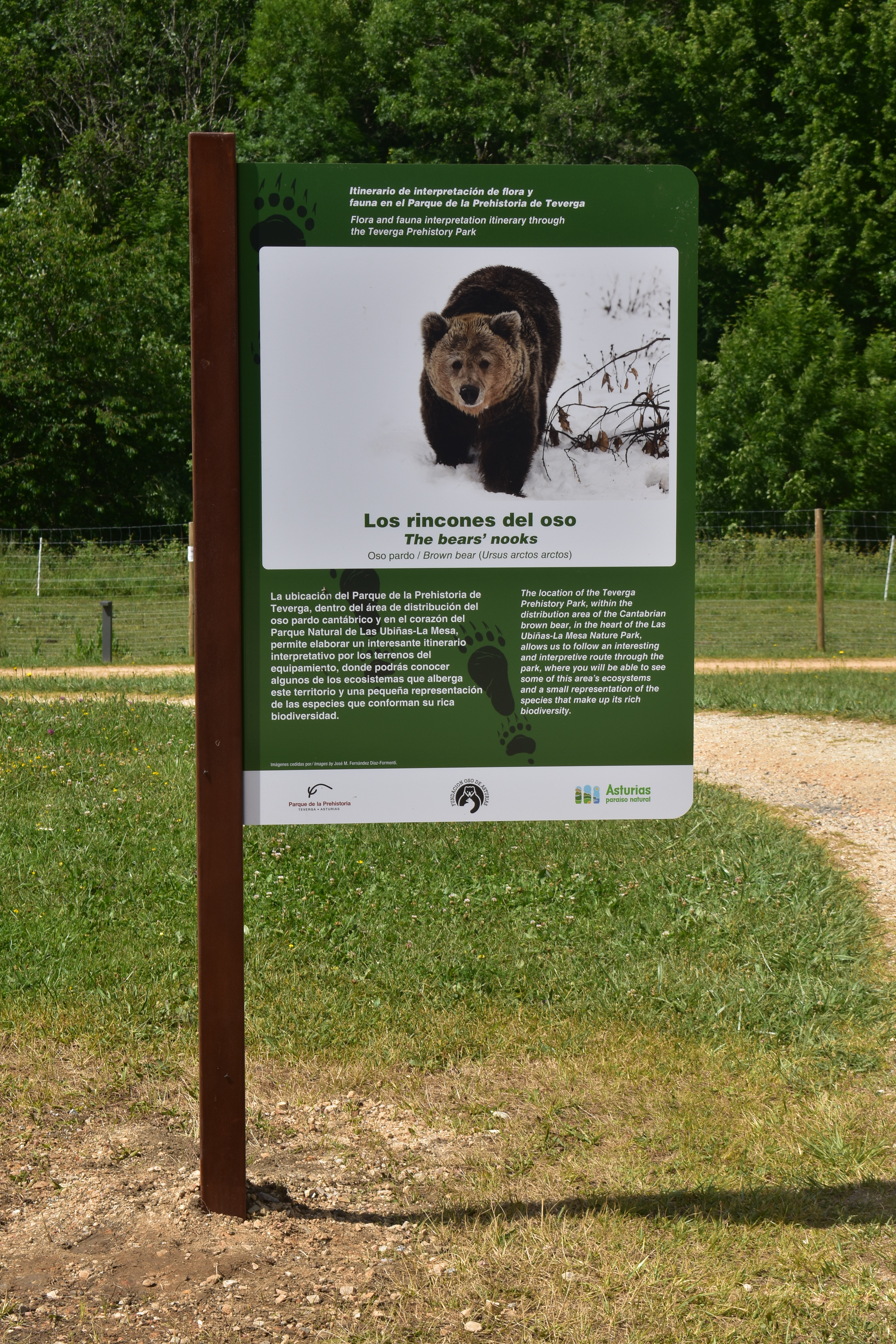 El Parque de la Prehistoria de Teverga incorpora un recorrido por “Los rincones del oso”