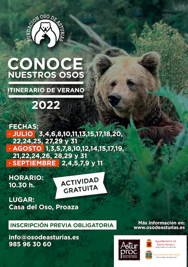 El domingo se inician los itinerarios de verano “Conoce nuestros osos”, organizados por la Fundación Oso de Asturias