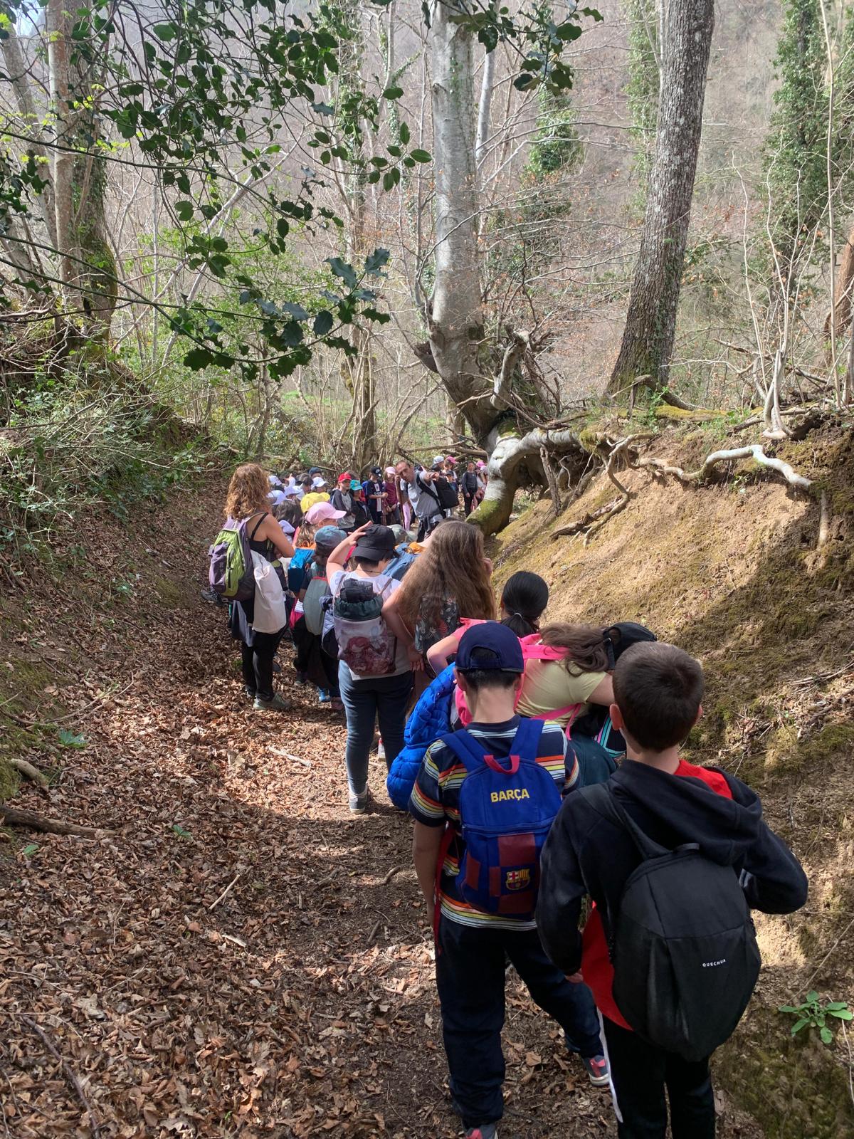 La Fundación Oso de Asturias supera en primavera los 4.900 participantes en su programa de educación ambiental
