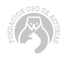 Logo del Fundación Oso de Asturias