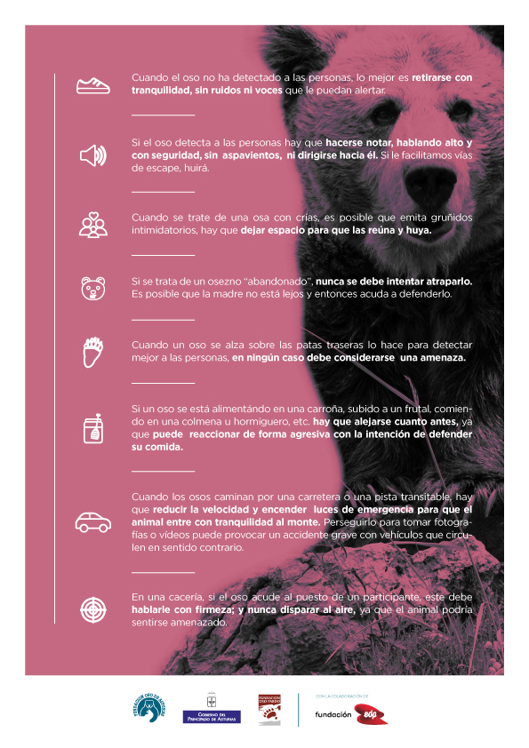 Cómo comportarse ante un oso, manual de buenas prácticas