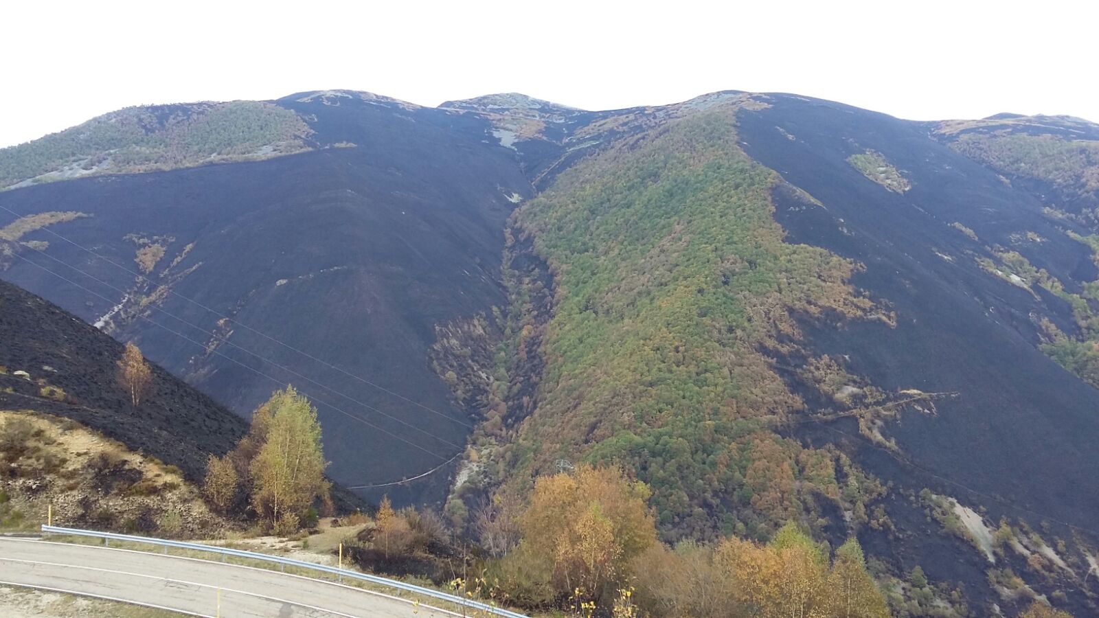 La FOA se posiciona ante los incendios provocados de los últimos días