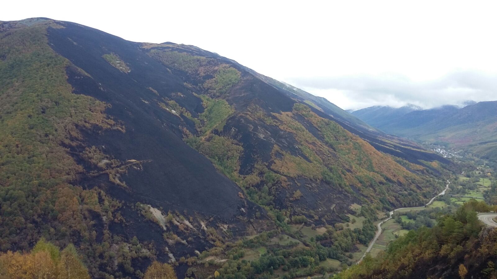 La FOA se posiciona ante los incendios provocados de los últimos días