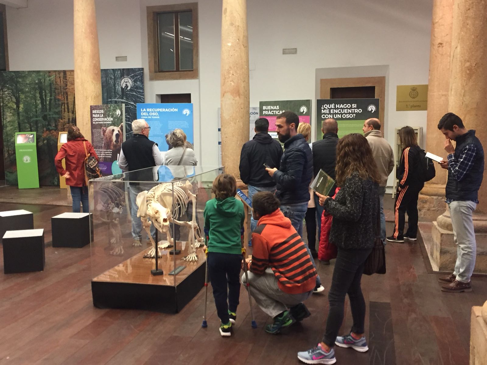Más de 1.700 personas visitan la exposición ‘Osos’, en menos de una semana, en el Palacio del RIDEA