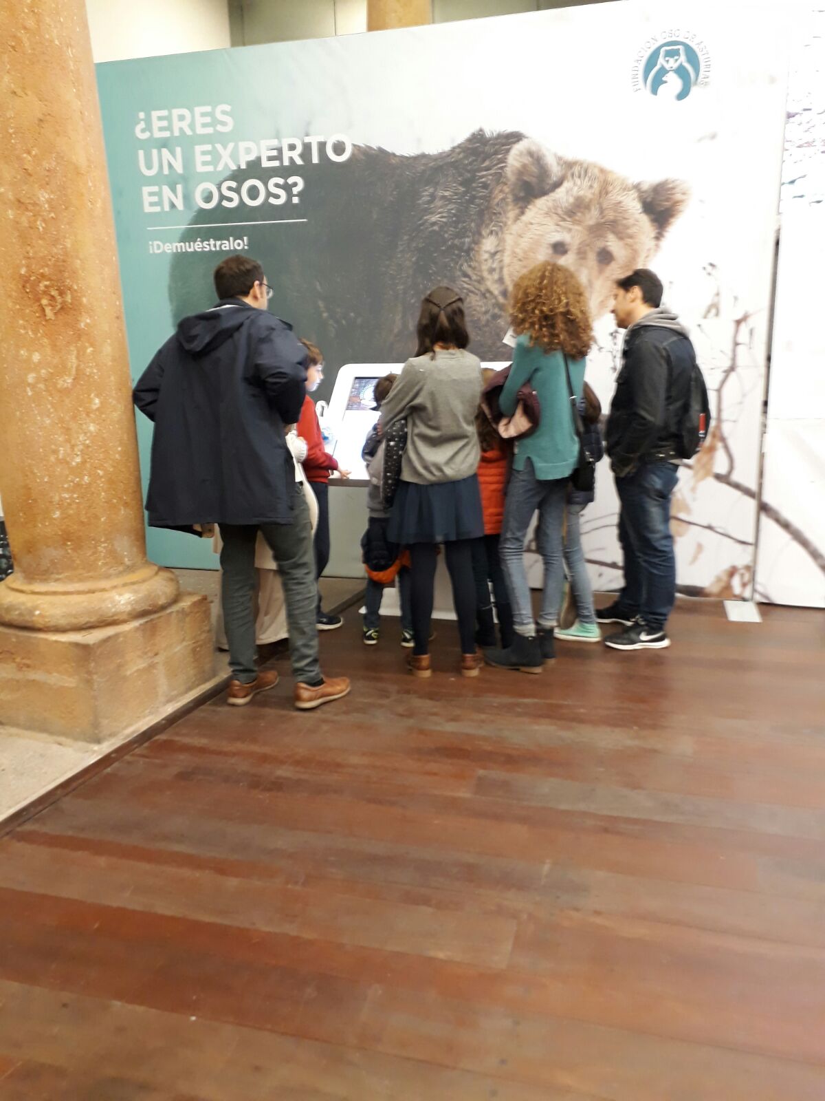 La exposición ‘Osos’ cierra sus tres semanas en Oviedo con casi 7.300 visitantes