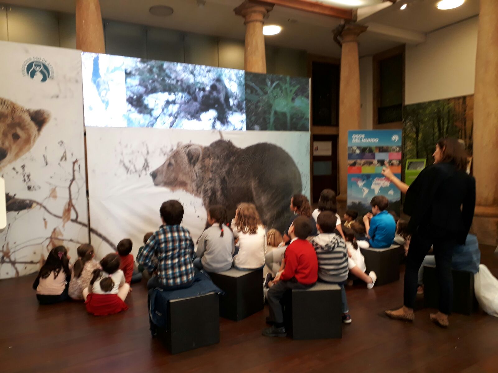 La exposición ‘Osos’ cierra sus tres semanas en Oviedo con casi 7.300 visitantes