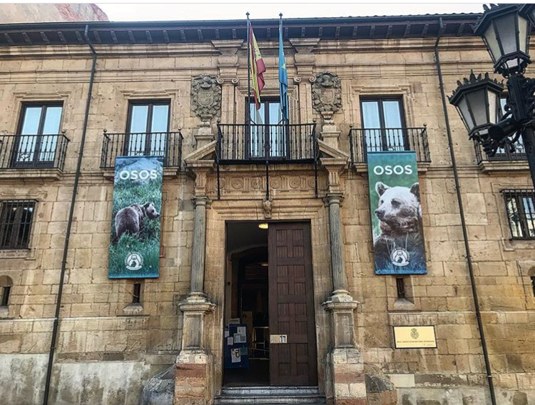 La exposición ‘Osos’ cierra sus tres semanas en Oviedo con casi 7.300 visitantes