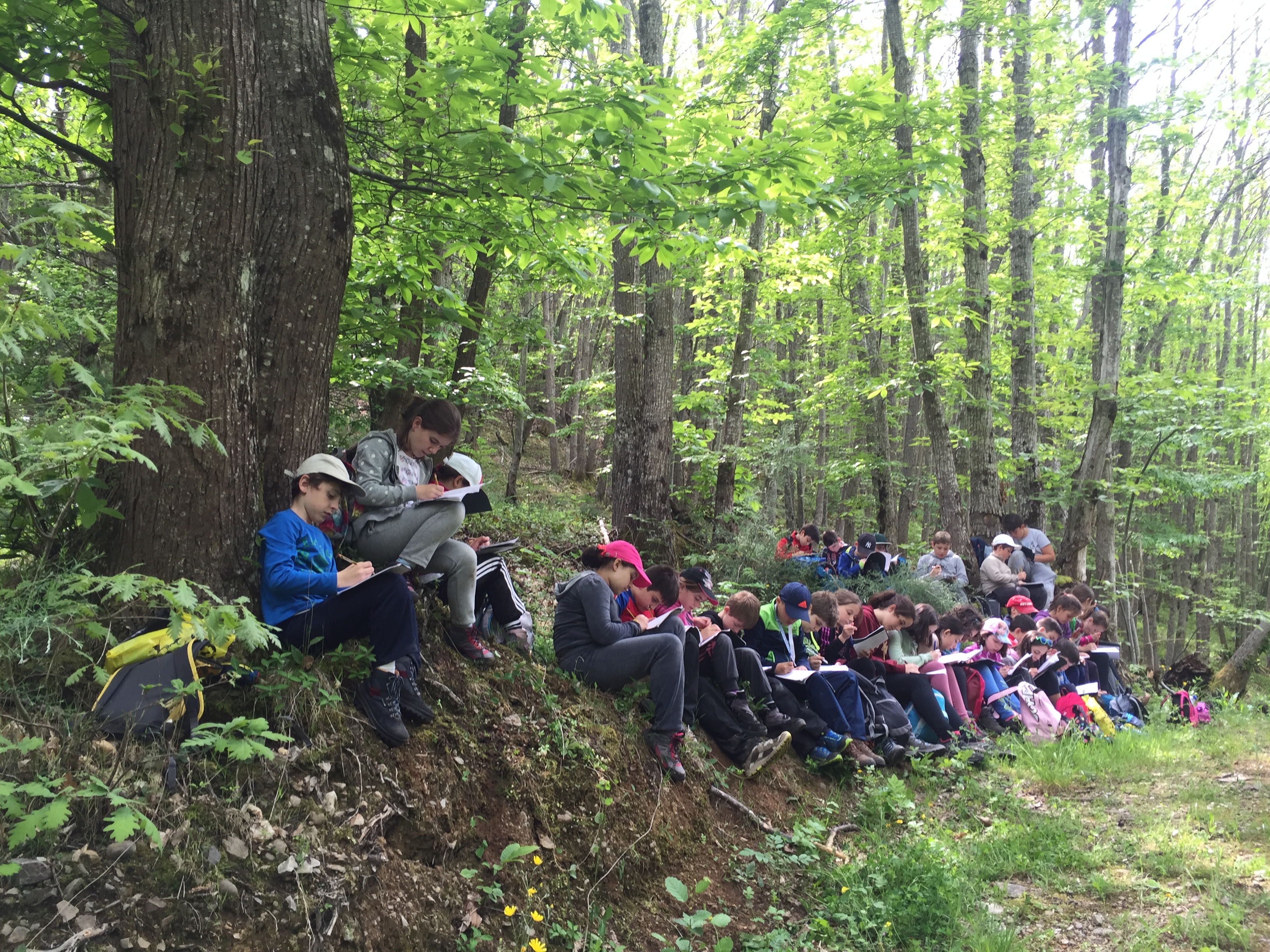 El programa de educación medioambiental Valles del Oso desborda las previsiones