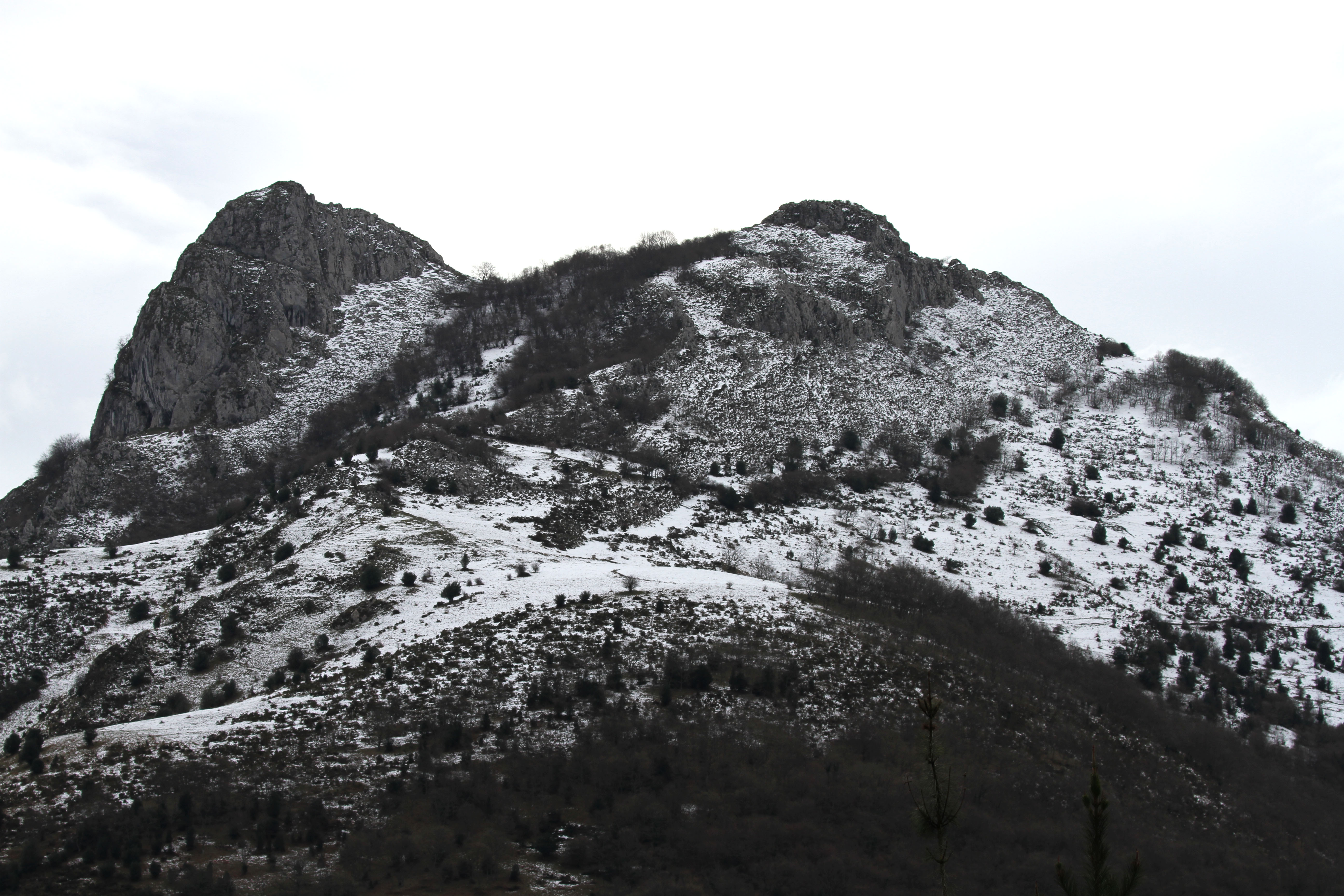 ¿ Año de nieves, año de bienes?