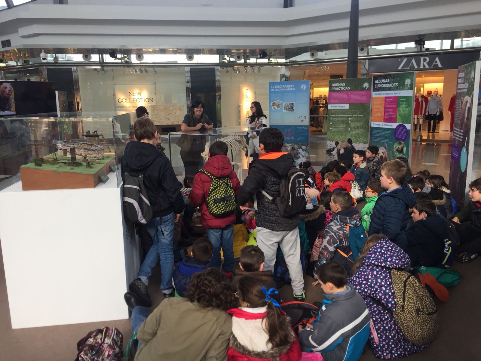 Unos 1.300 escolares visitan la exposición 'Sigue la huella del oso' en Intu Asturias