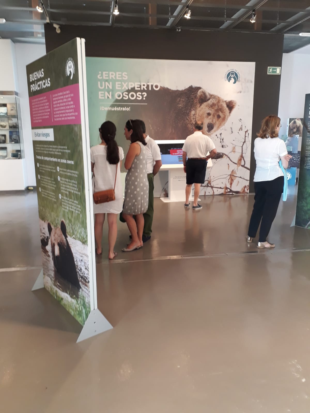 La exposición itinerante ‘Osos’ alcanza los 6.000 visitantes en el ecuador de su estancia en la Antigua Rula