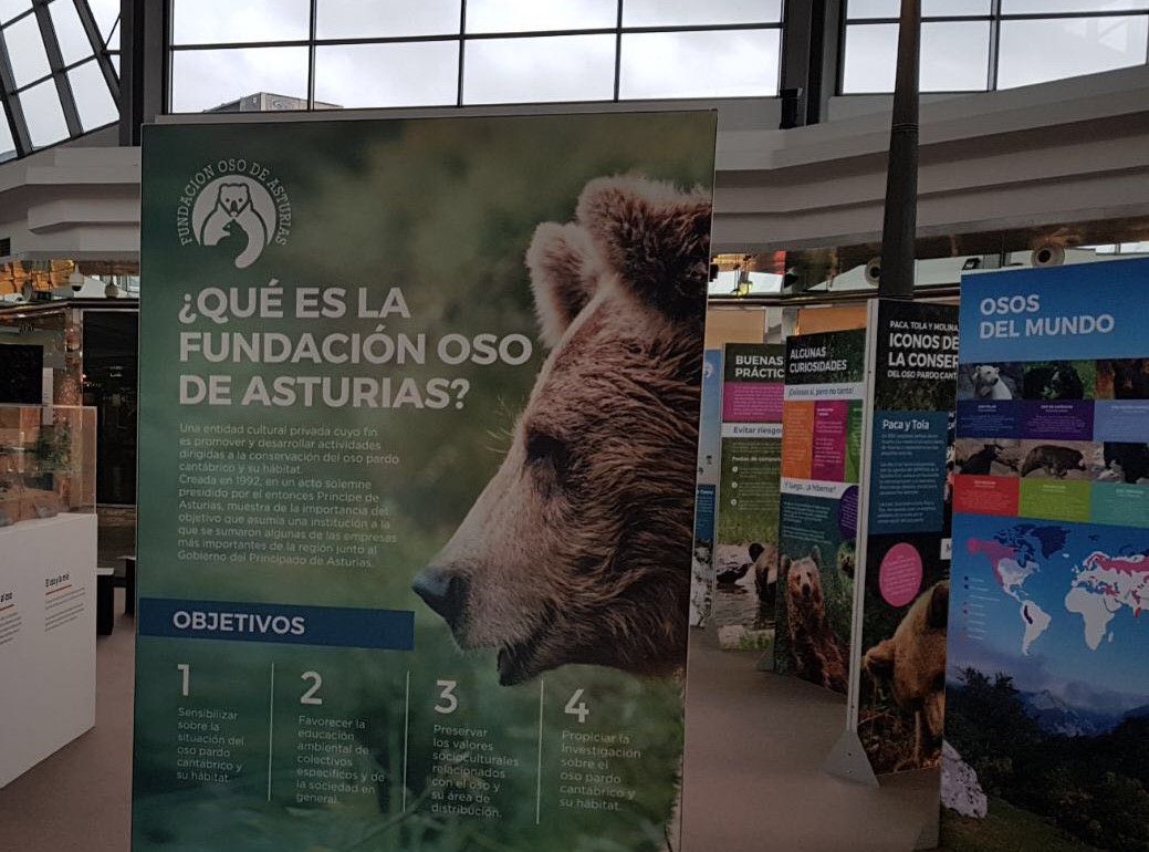 Reconocimiento nacional a la colaboración de Intu Asturias con la FOA 