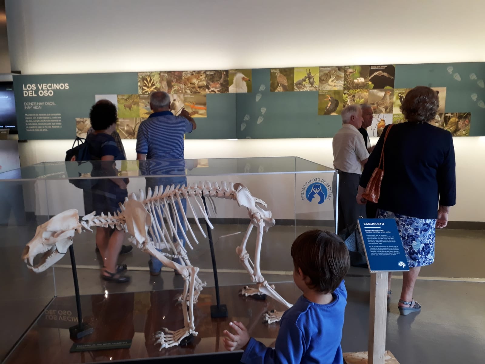 Gijón acoge en julio la exposición ‘Vivir con osos’