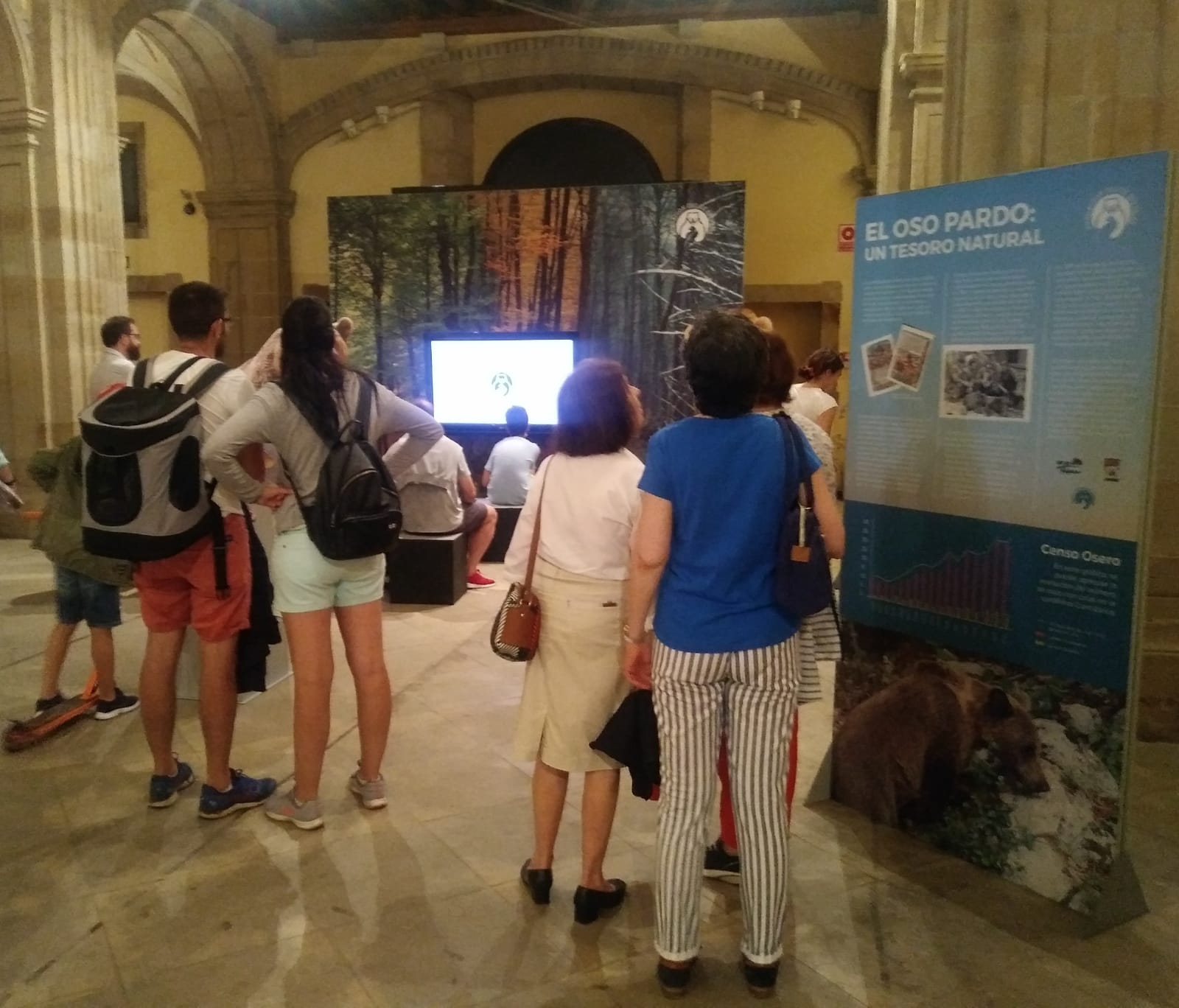 La exposición itinerante ‘Vivir con osos’ alarga su estancia en la Colegiata San Juan Bautista de Gijón hasta el 15 de agosto