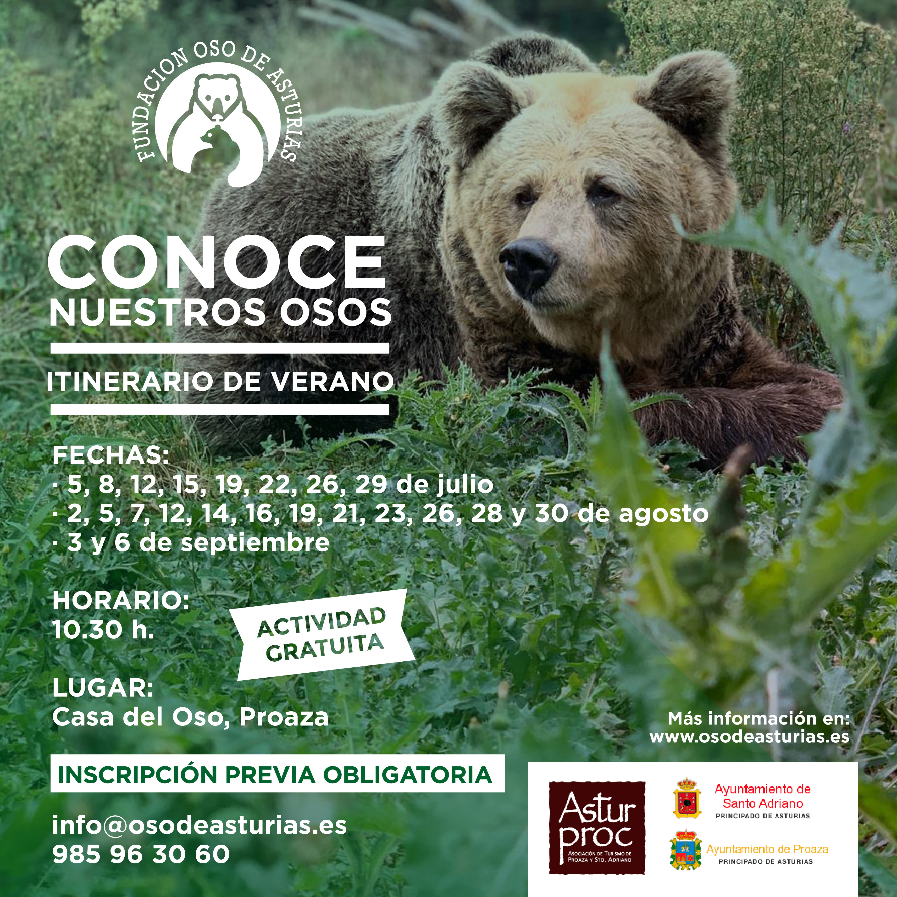 Los itinerarios de verano “Conoce nuestros osos” comienzan esta semana