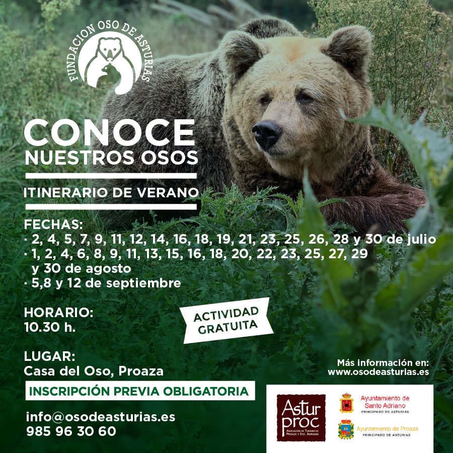 Vuelven los itinerarios de verano “Conoce nuestros osos”, organizados por la Fundación Oso de Asturias 