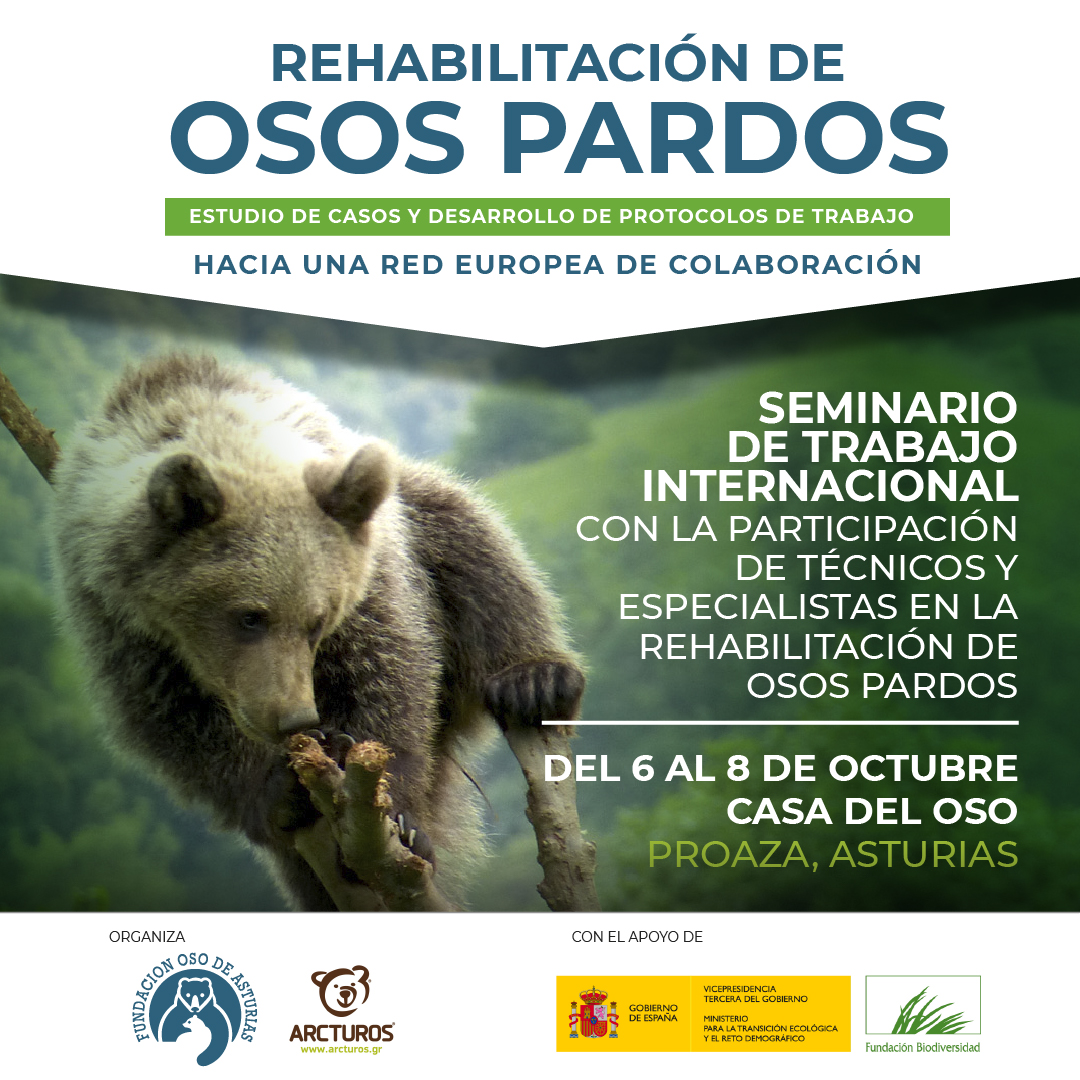 La Fundación Oso de Asturias acoge el Seminario Internacional sobre Rehabilitación de Osos Pardos
