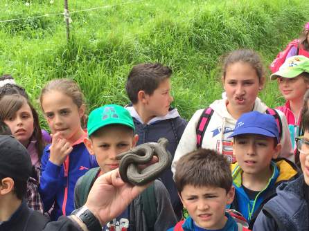 Actividades Educación Ambiental. Curso 2015-2016