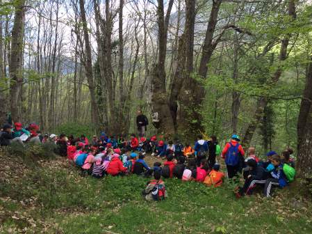 Actividades Educación Ambiental. Curso 2015-2016