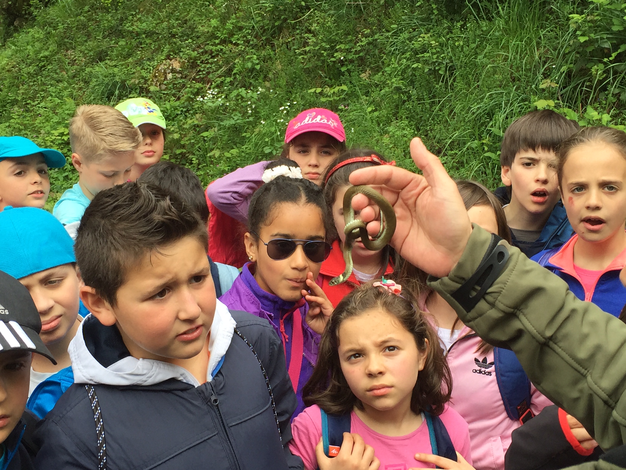 Nuevo éxito de participación en el Programa de Educación Ambiental 