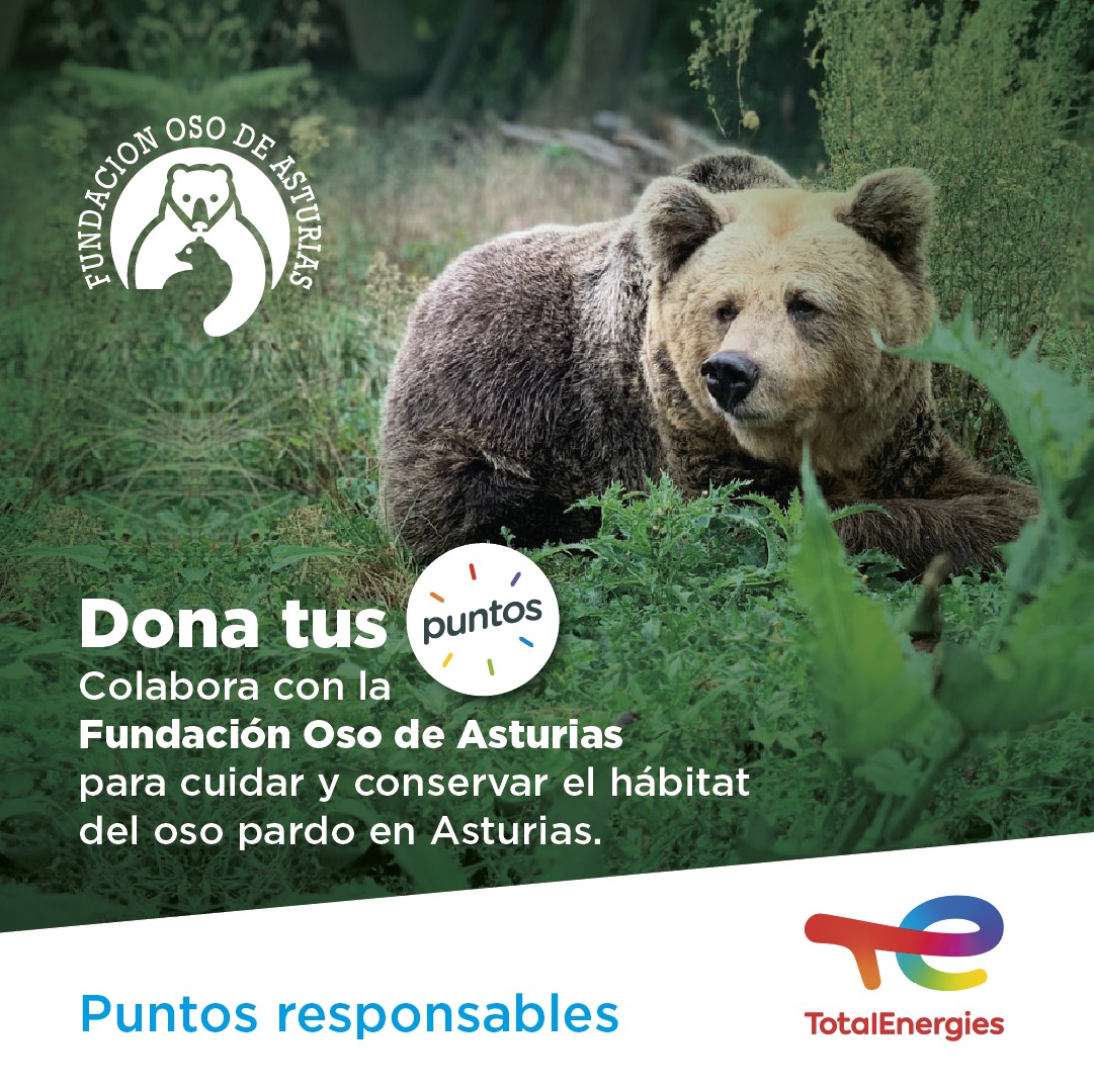 Los clientes de TotalEnergies colaboran con la Fundación Oso de Asturias mediante la donación de puntos del programa de fidelización