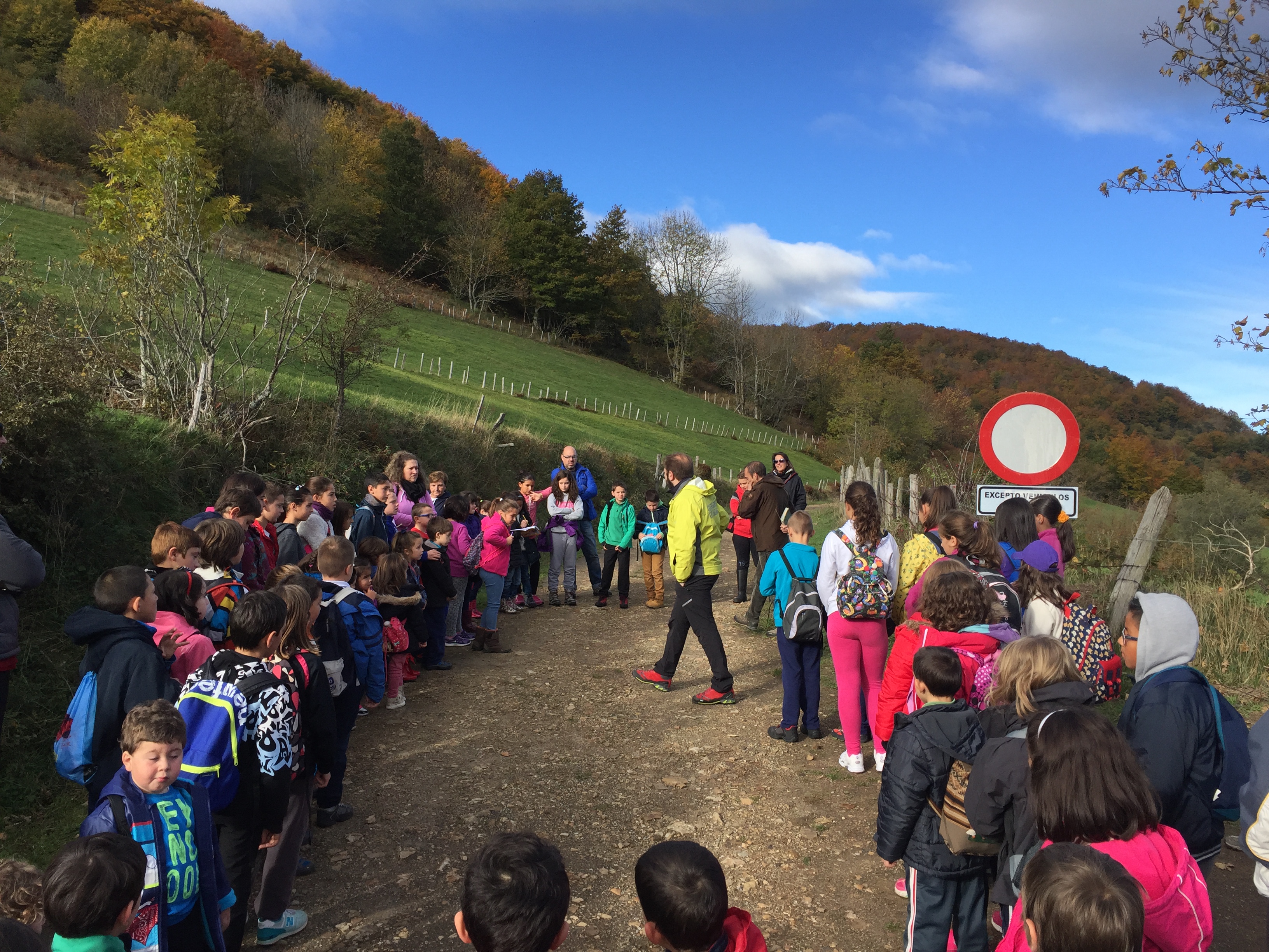 El Otoño con la Fundación Oso de Asturias