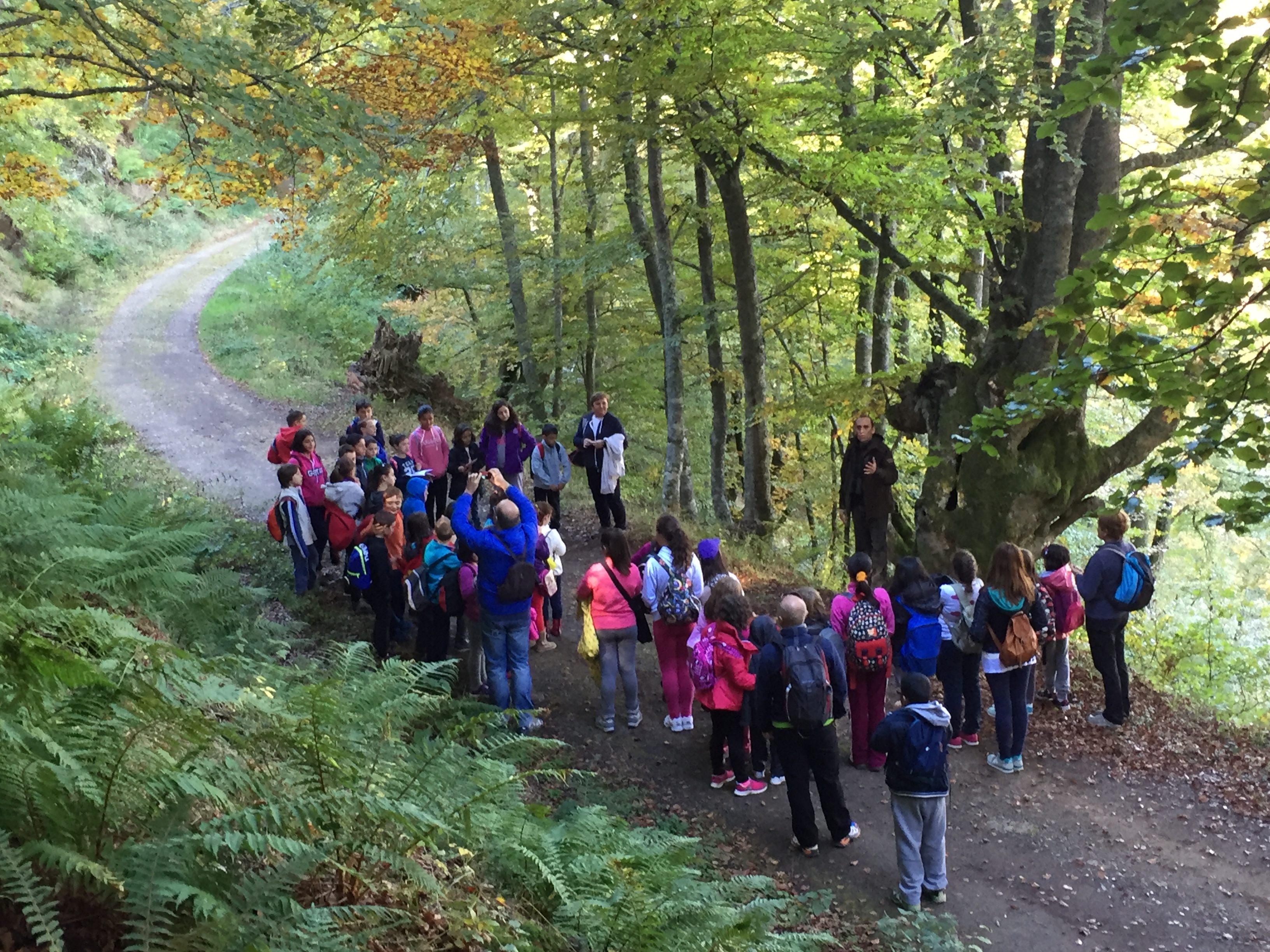 El Otoño con la Fundación Oso de Asturias