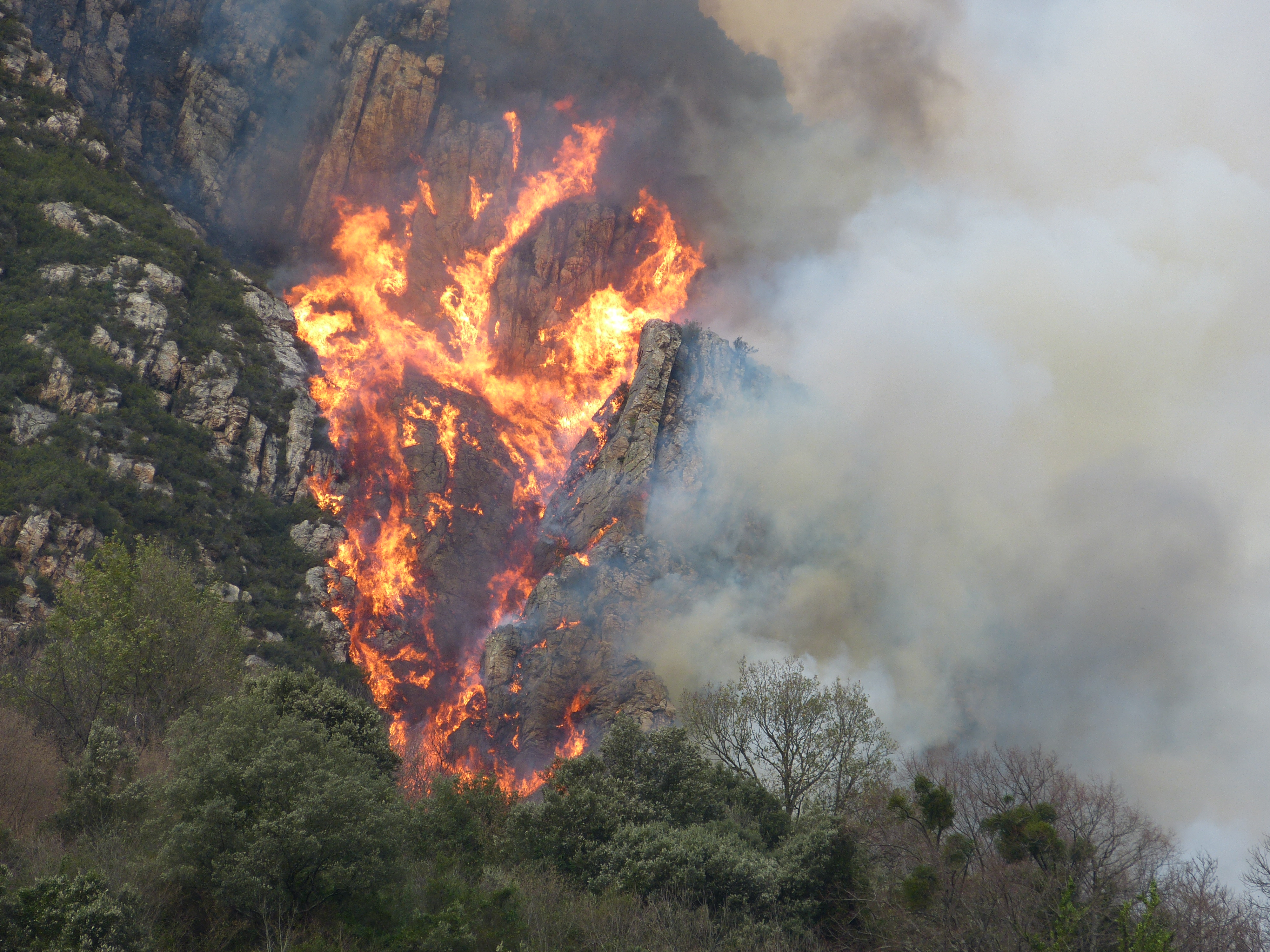 Los incendios forestales y sus consecuencias ecológicas.
